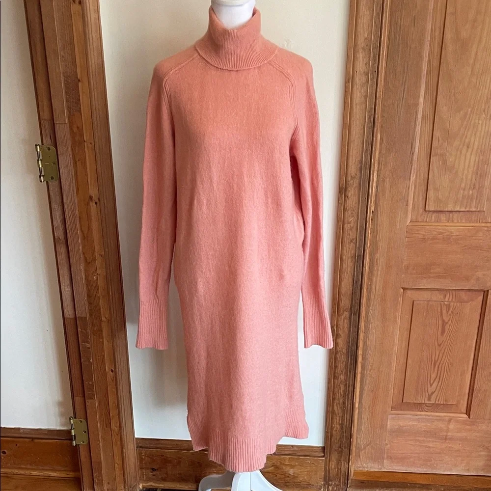 J. Crew chic turtleneck